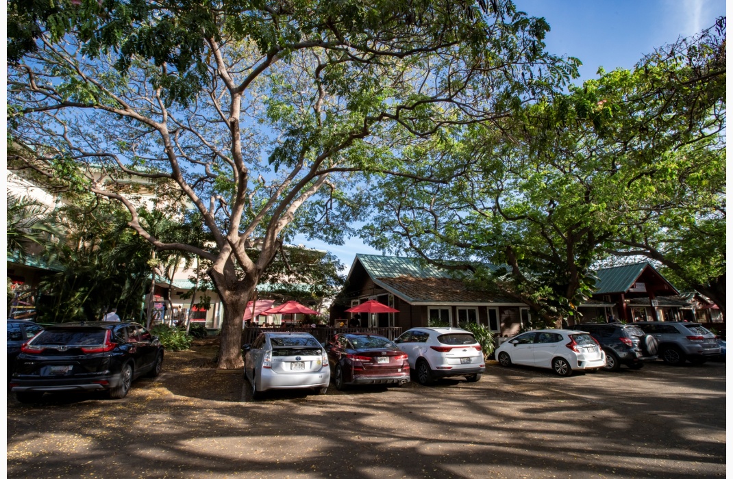 Kihei Kalama Village